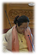 ဒေါ်တင်နွယ်ဦး (ဒဂုံမြို့သစ်၊ မြောက်ပိုင်း)
