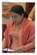 ဒေါ်မိကွန်ချမ်း